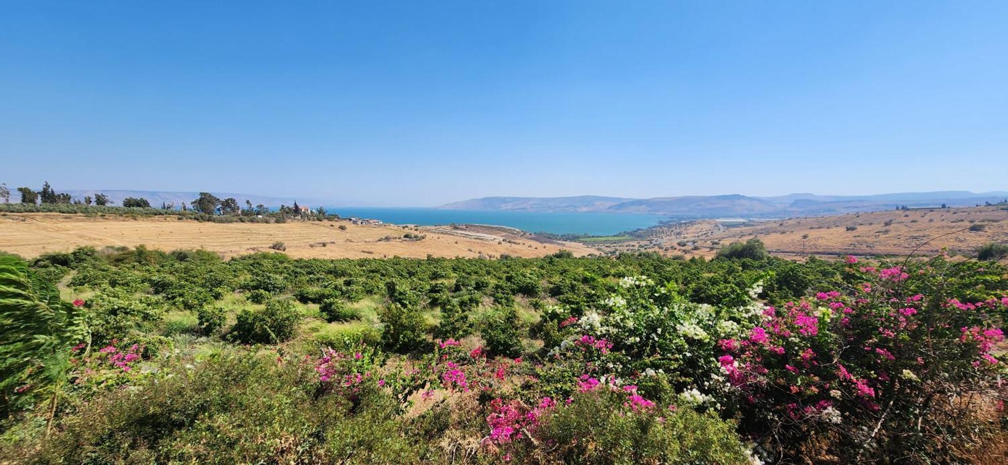 Апартаменты Casa Cohen C Kineret קאסה כהן סי כנרת Мигдаль Экстерьер фото